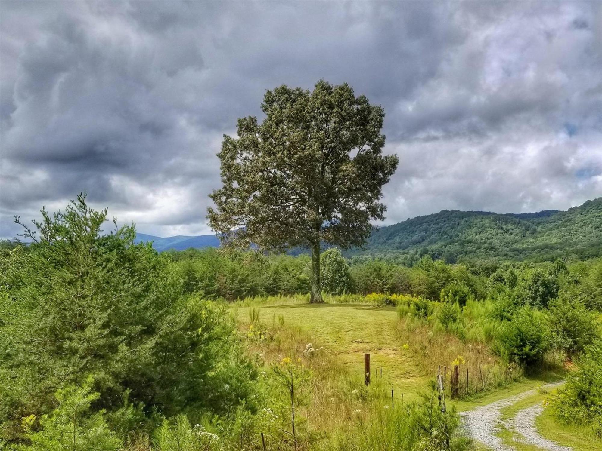 Eula Mae- Ocoee River Area Copperhill エクステリア 写真